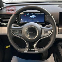 بي واي دي سيل 06 DM-i